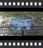 ../pictures/Beaver Marsh/DSCF9055_1_small_icon.jpg